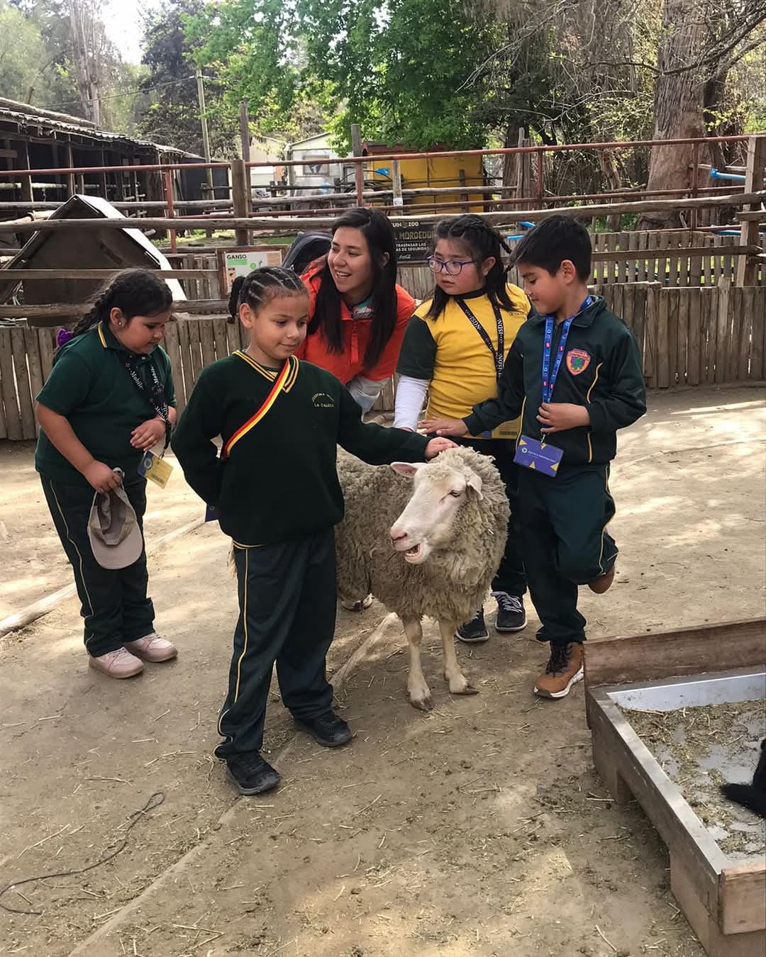 WhatsApp Image 2025-03-14 at 3.06.23 PM (1)